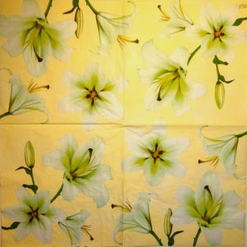 124 Lilies - 3-ply - Paw